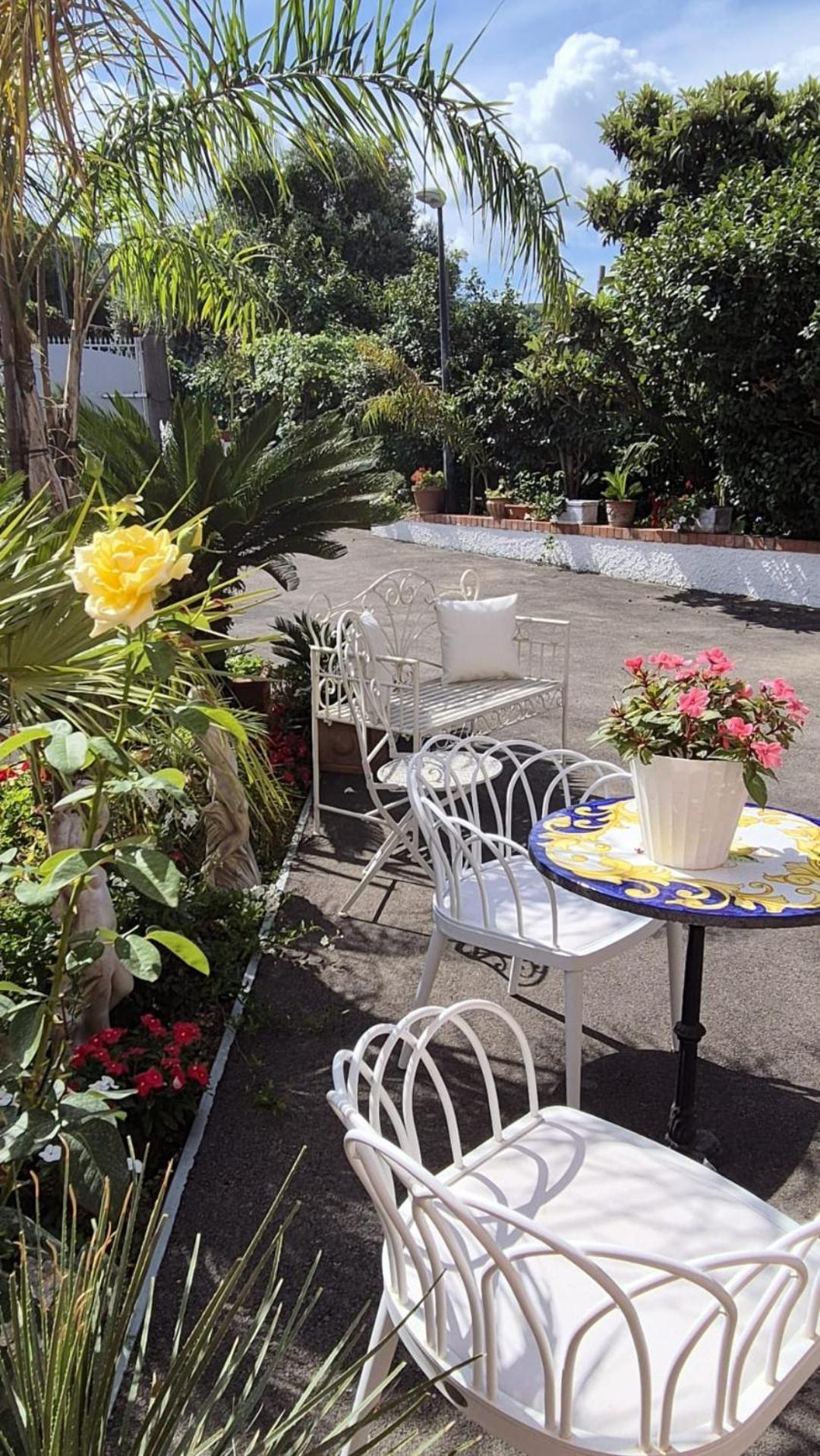 Bed and Breakfast La Vigna Del Vento Casola di Napoli Esterno foto